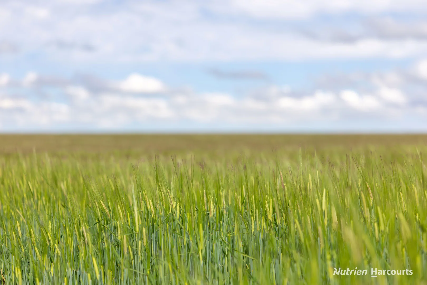 Additional image 9 of . Rollond Road, Cascade WA 6450