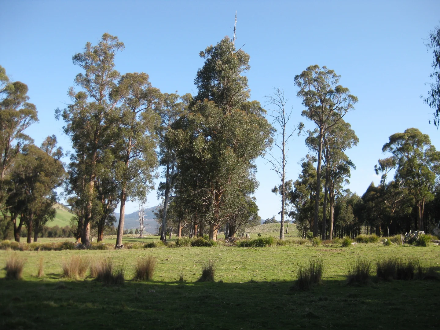 Additional image 9 of 8415 Lyell Highway, Ouse TAS 7140