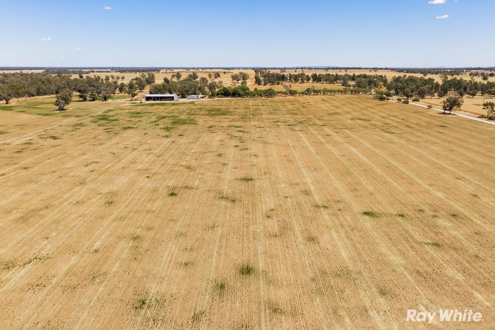 Additional image 6 of 79 Croziers Lane, Ganmain NSW 2702