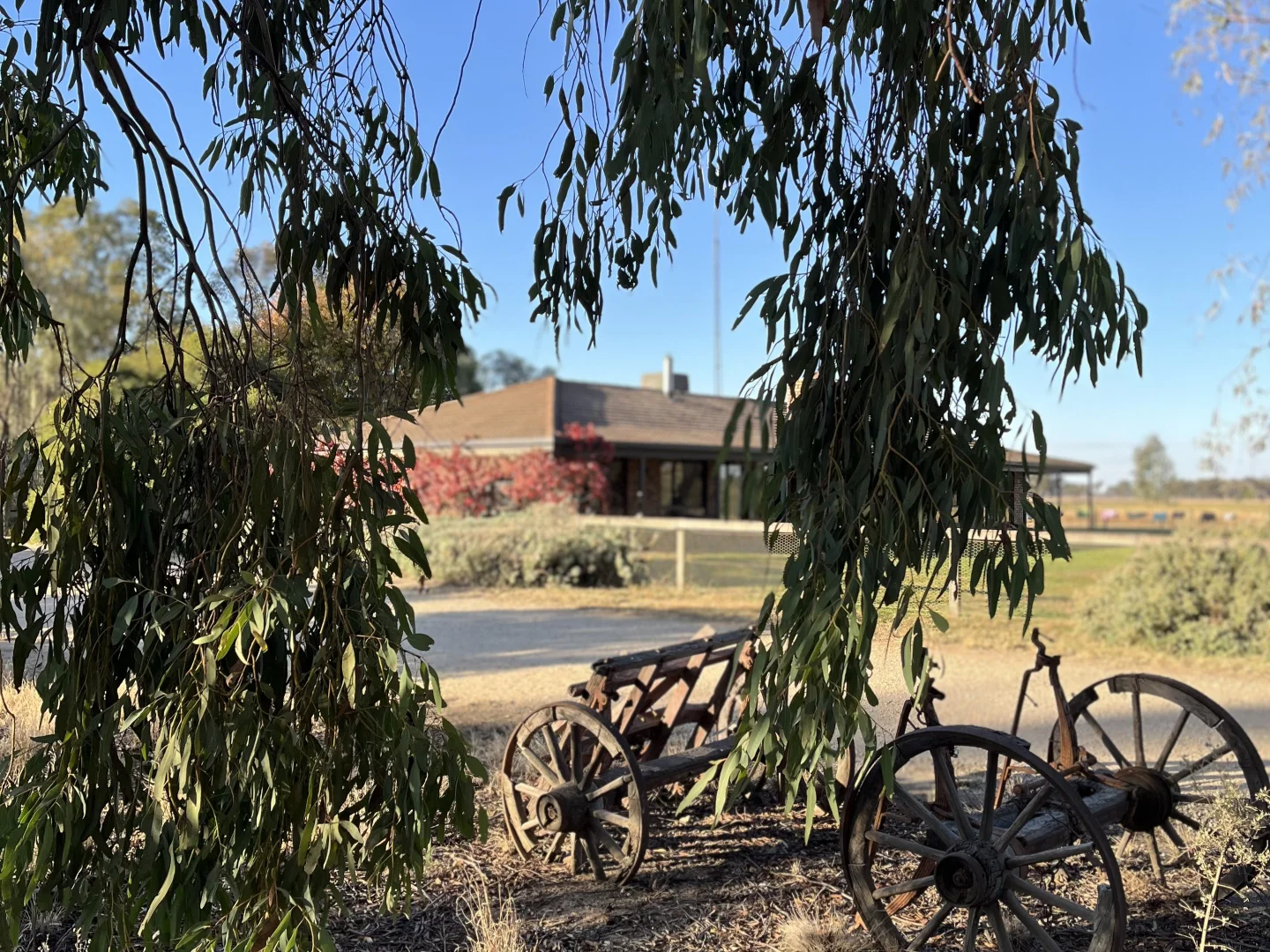 Additional image 29 of 520 Mayrung Road, Finley NSW 2713