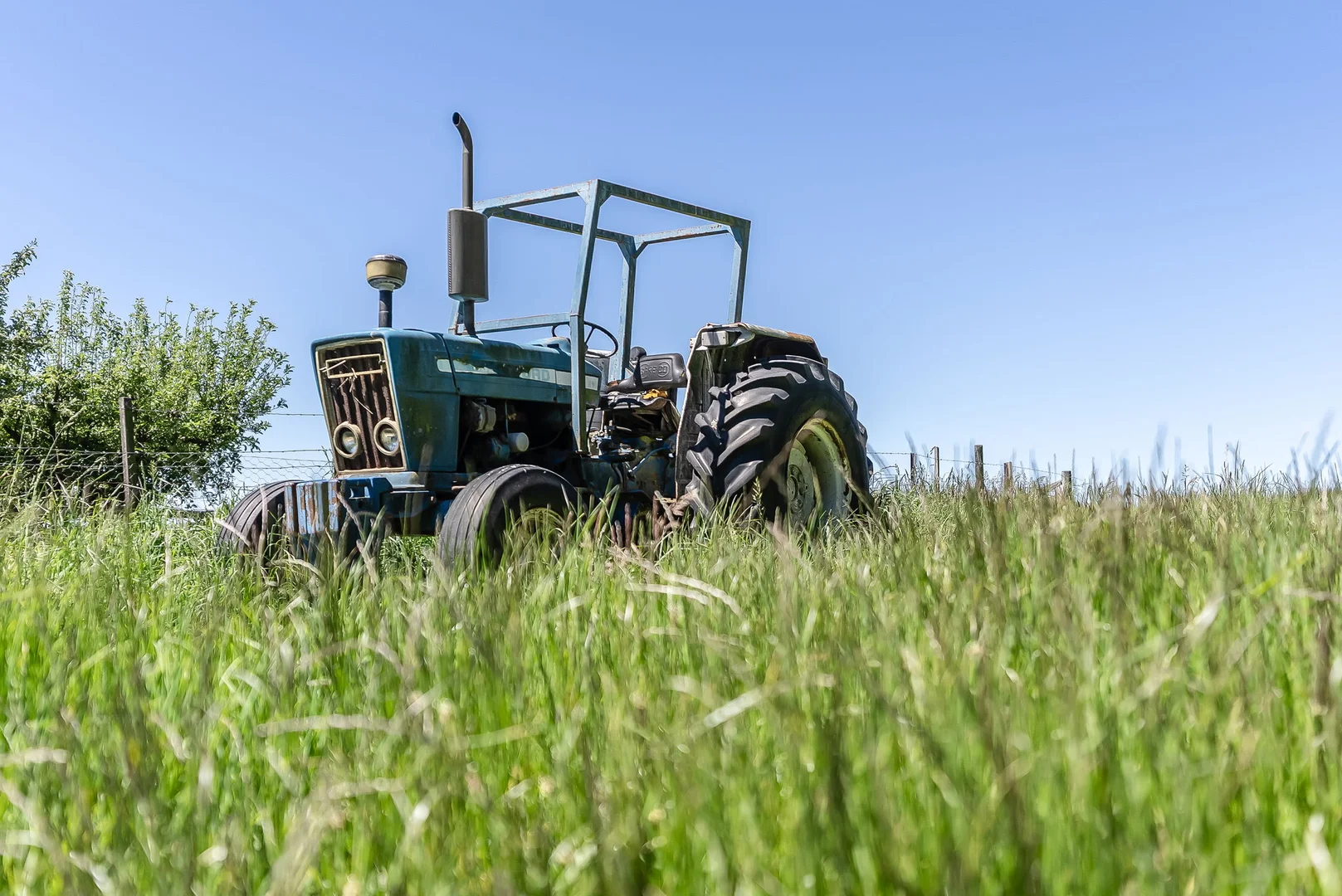 Additional image 8 of 696 Golconda Road, Lebrina TAS 7254