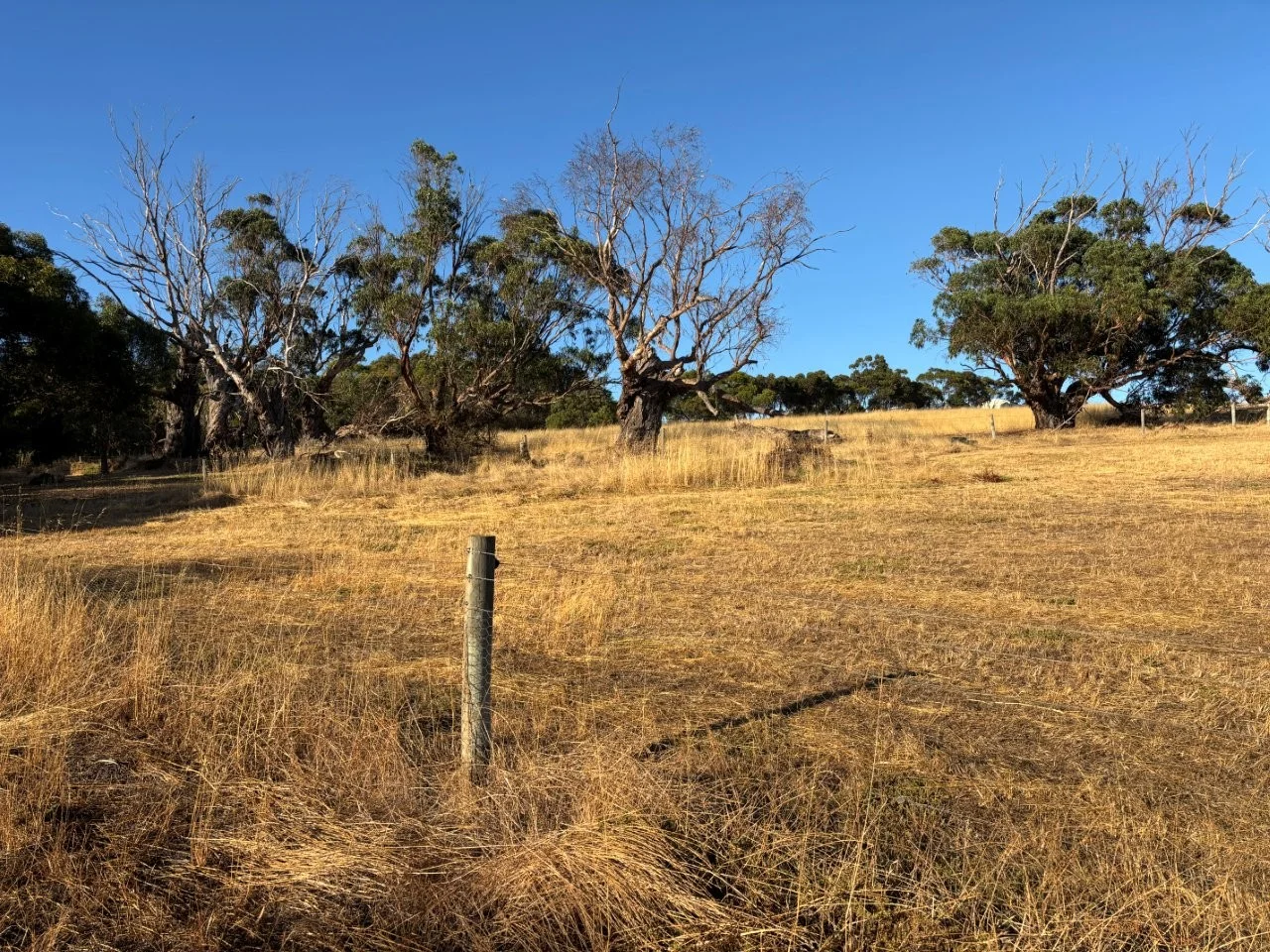 Additional image 23 of 7 Hidden Valley Lane, Boston SA 5607