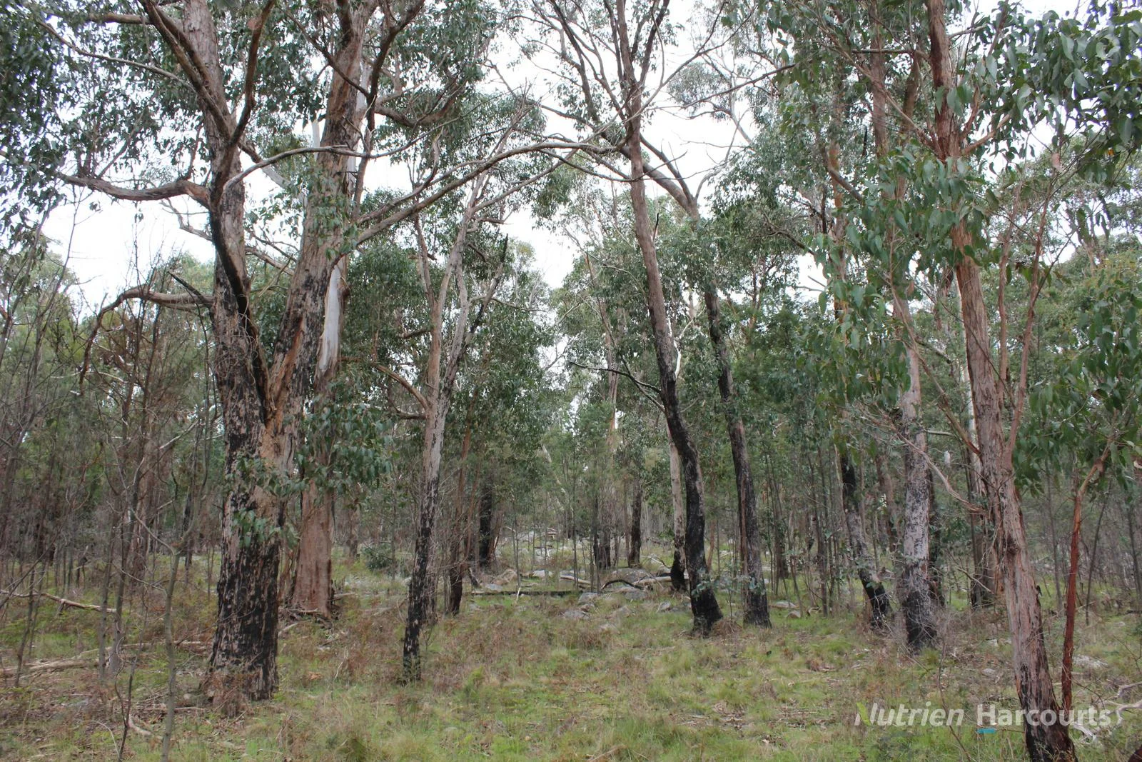 Additional image 5 of . Youngs Road, Baynton VIC 3444