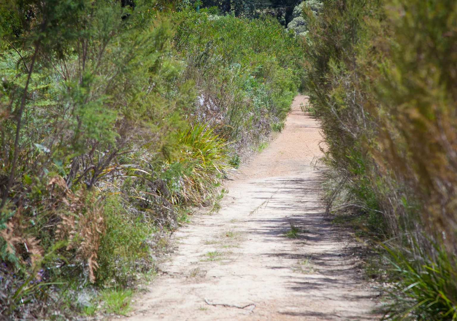 Additional image 42 of 63 karri street, Walpole WA 6398