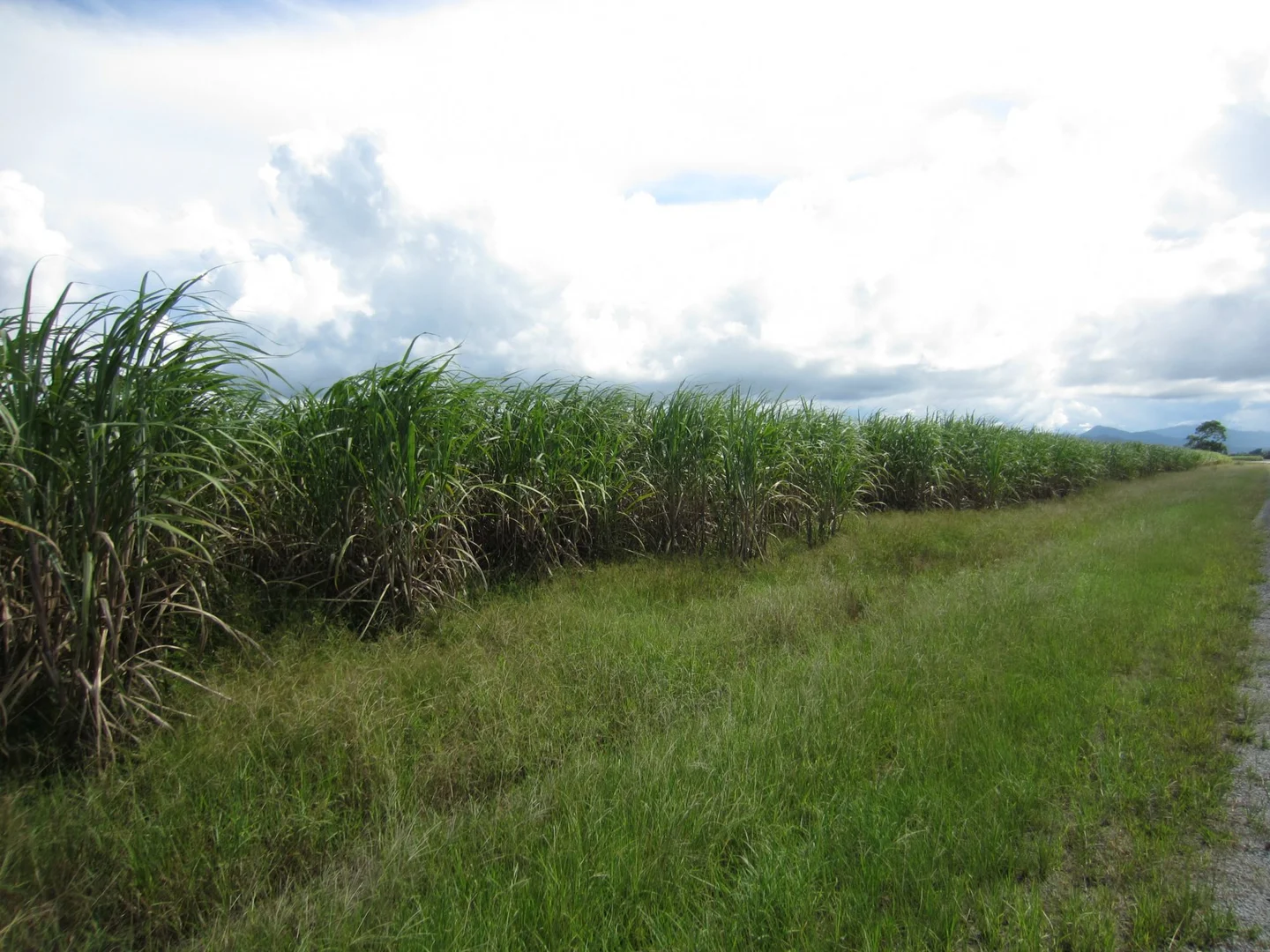 Additional image 13 of Japoonvale QLD 4856