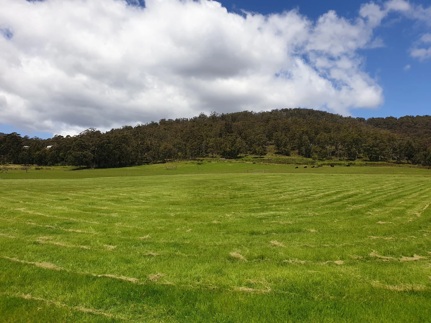 Additional image 2 of 10 Cross Road, Nicholls Rivulet TAS 7112