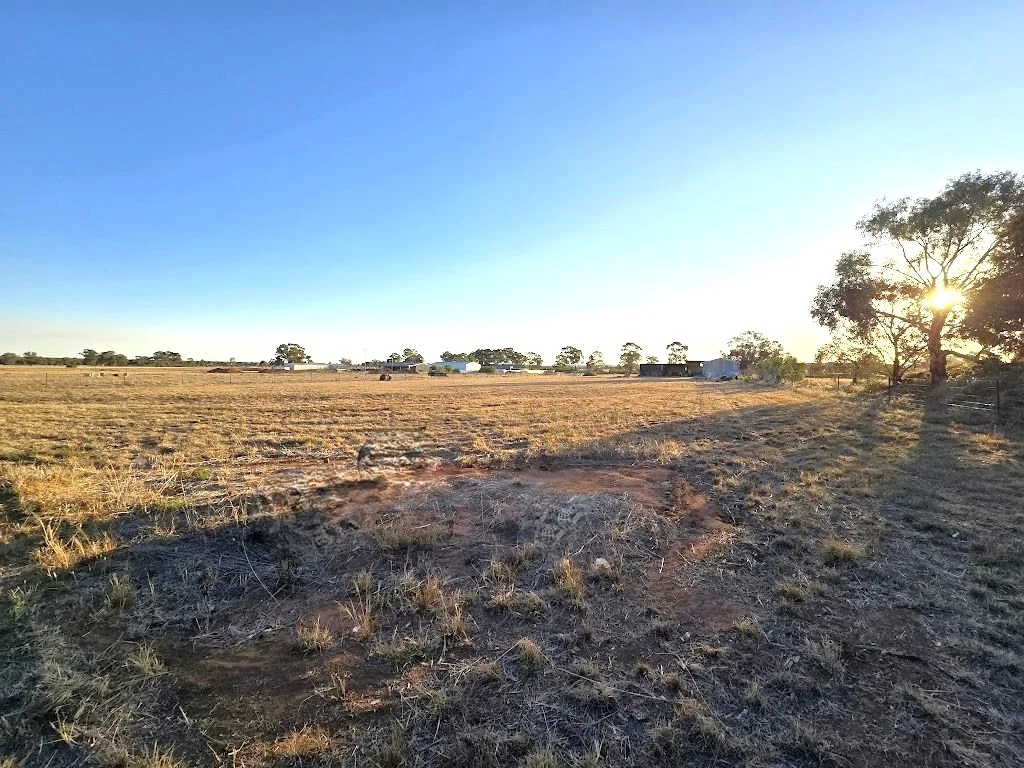 Additional image 6 of 77 Boltes Lane, West Wyalong NSW 2671