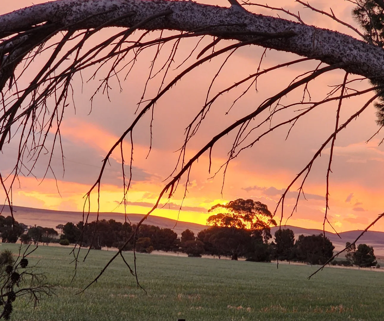 Additional image 28 of 340 Tohls Road, Booborowie SA 5417