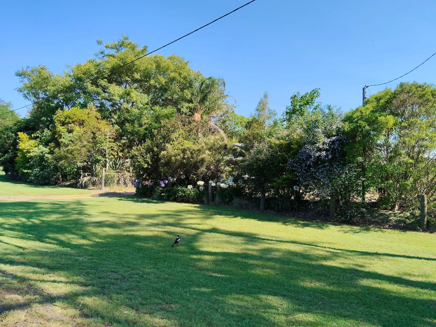 Additional image 3 of 361 Haly Street, Kingaroy QLD 4610