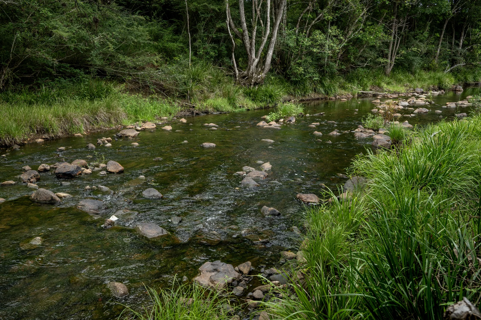 Additional image 13 of 43 Cutmore Road, Obi Obi QLD 4574