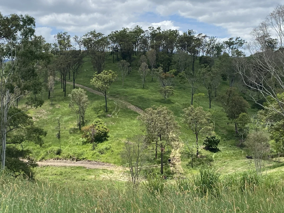 Additional image 12 of 558 Marlborough-Sarina Road, Sarina QLD 4737