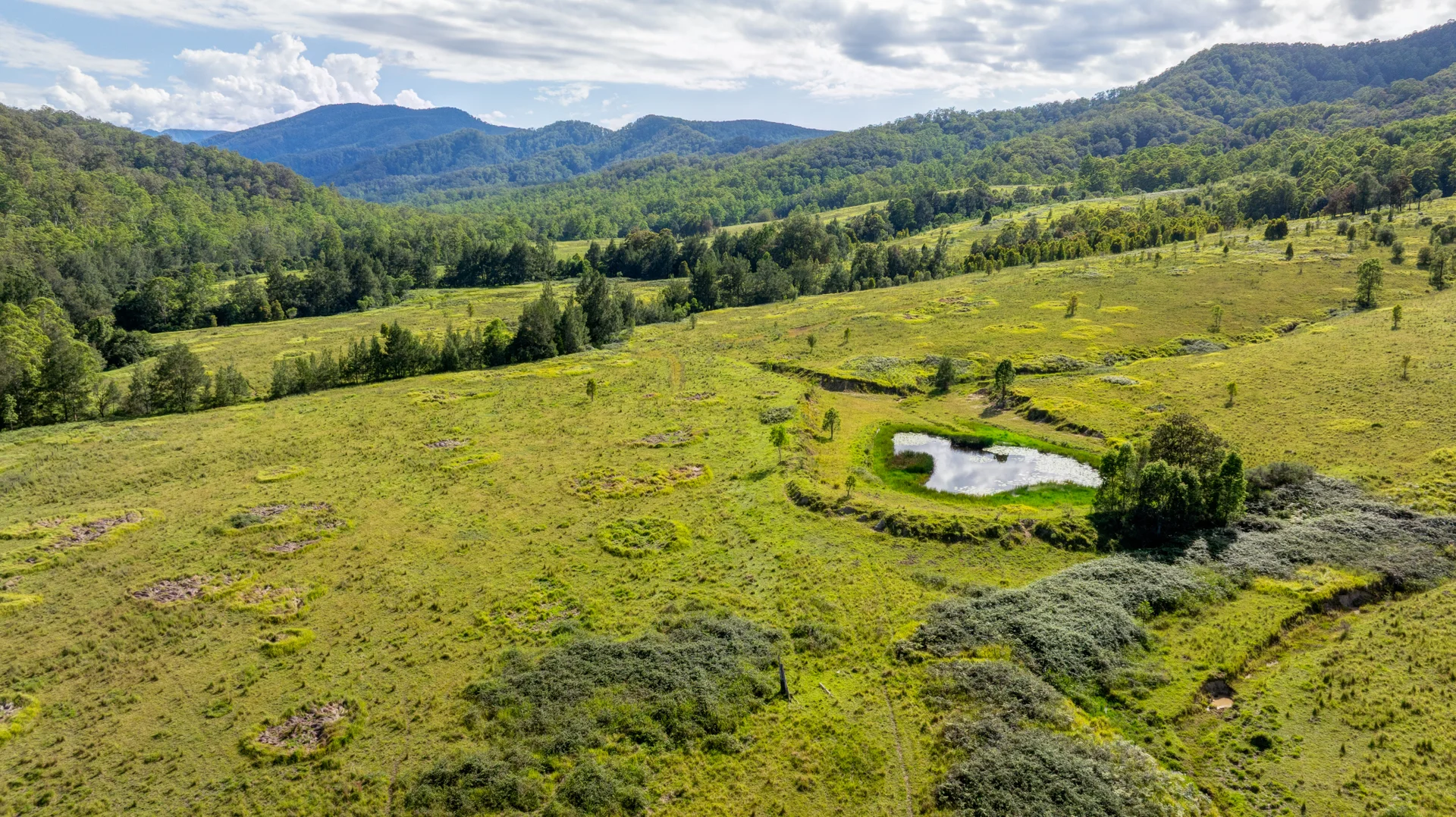 Additional image 4 of 1012 Boonabilla Road, Gresford NSW 2311