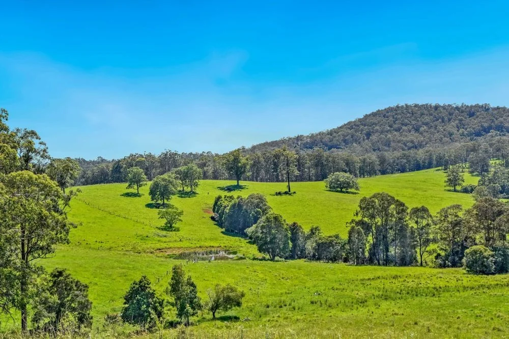 Additional image 19 of 310 Yessabah Road, Yessabah NSW 2440