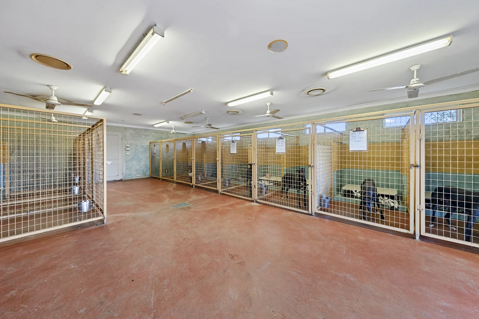 Additional image 17 of 295-301 Reynolds Road, Londonderry NSW 2753