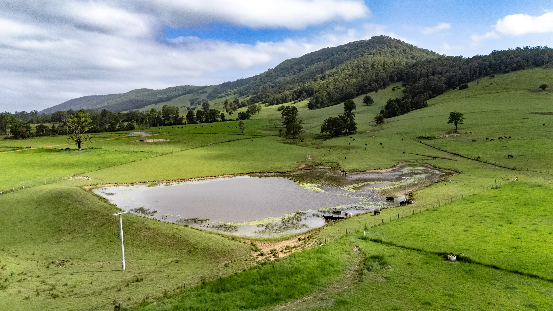 Additional image 29 of 529 Willina Road, Willina NSW 2423