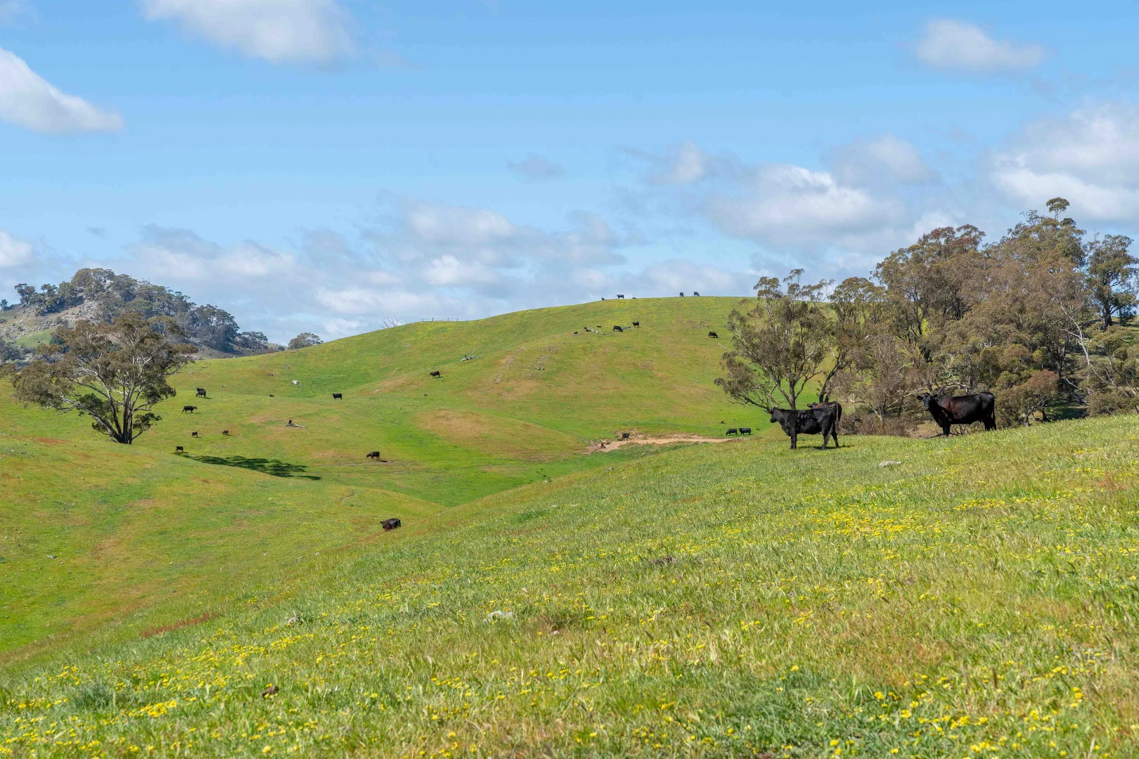 Additional image 12 of 362 Watchbox Road, Barfold VIC 3444