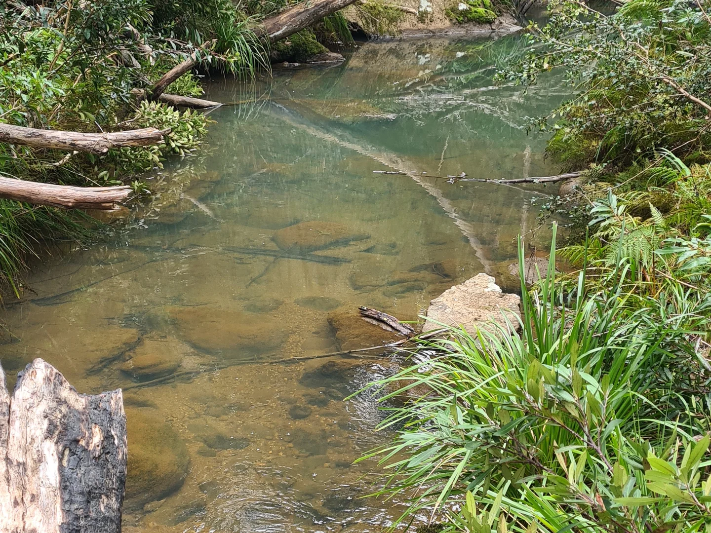 Additional image 4 of Illaroo NSW 2540