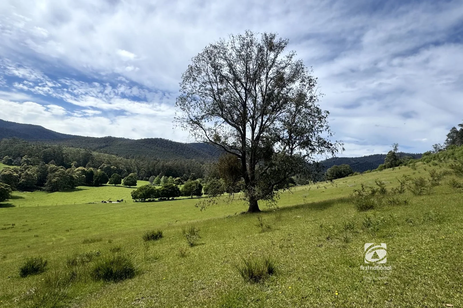 Additional image 33 of 2825 Combienbar Road, Combienbar VIC 3889