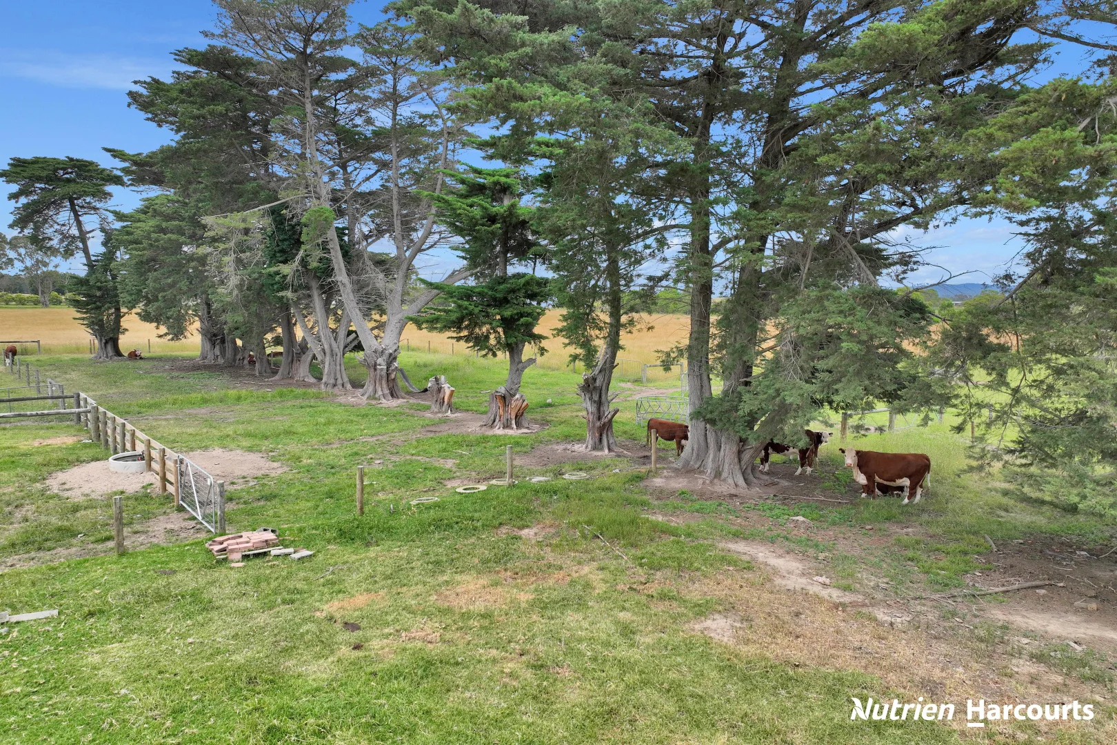 Additional image 36 of 8687 South Gippsland Highway, Yarram VIC 3971