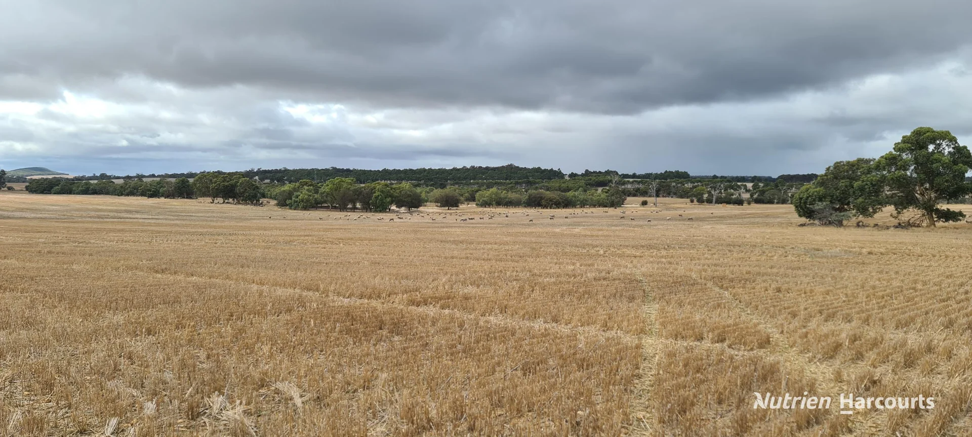 Additional image 9 of Lot 347 Yarralena Road, Cranbrook WA 6321