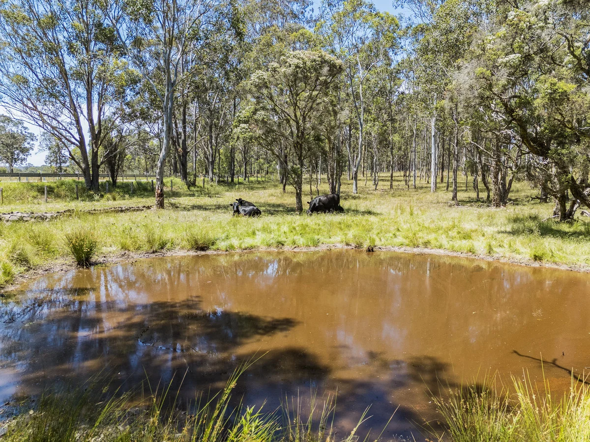 Additional image 23 of 1189 Sandy Creek Road, Quorrobolong NSW 2325