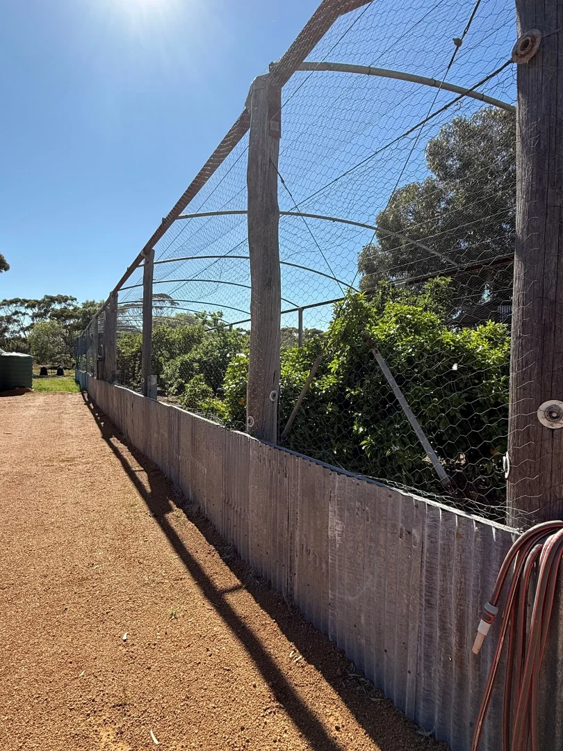 Additional image 33 of 4 Morrell Street, Cuballing WA 6311