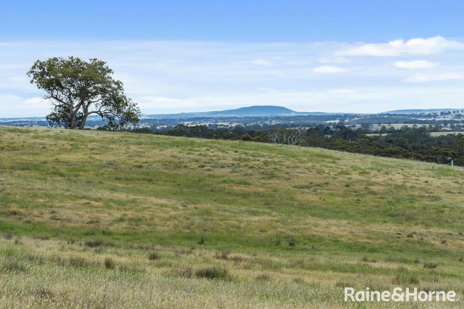 Additional image 24 of 147 Racecourse Road, Redesdale VIC 3444