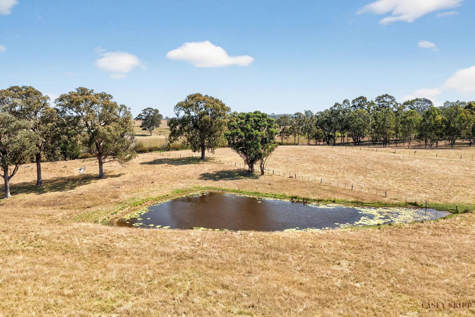 Additional image 4 of 2/440 Nicholson-Sarsfield Road, Sarsfield VIC 3875