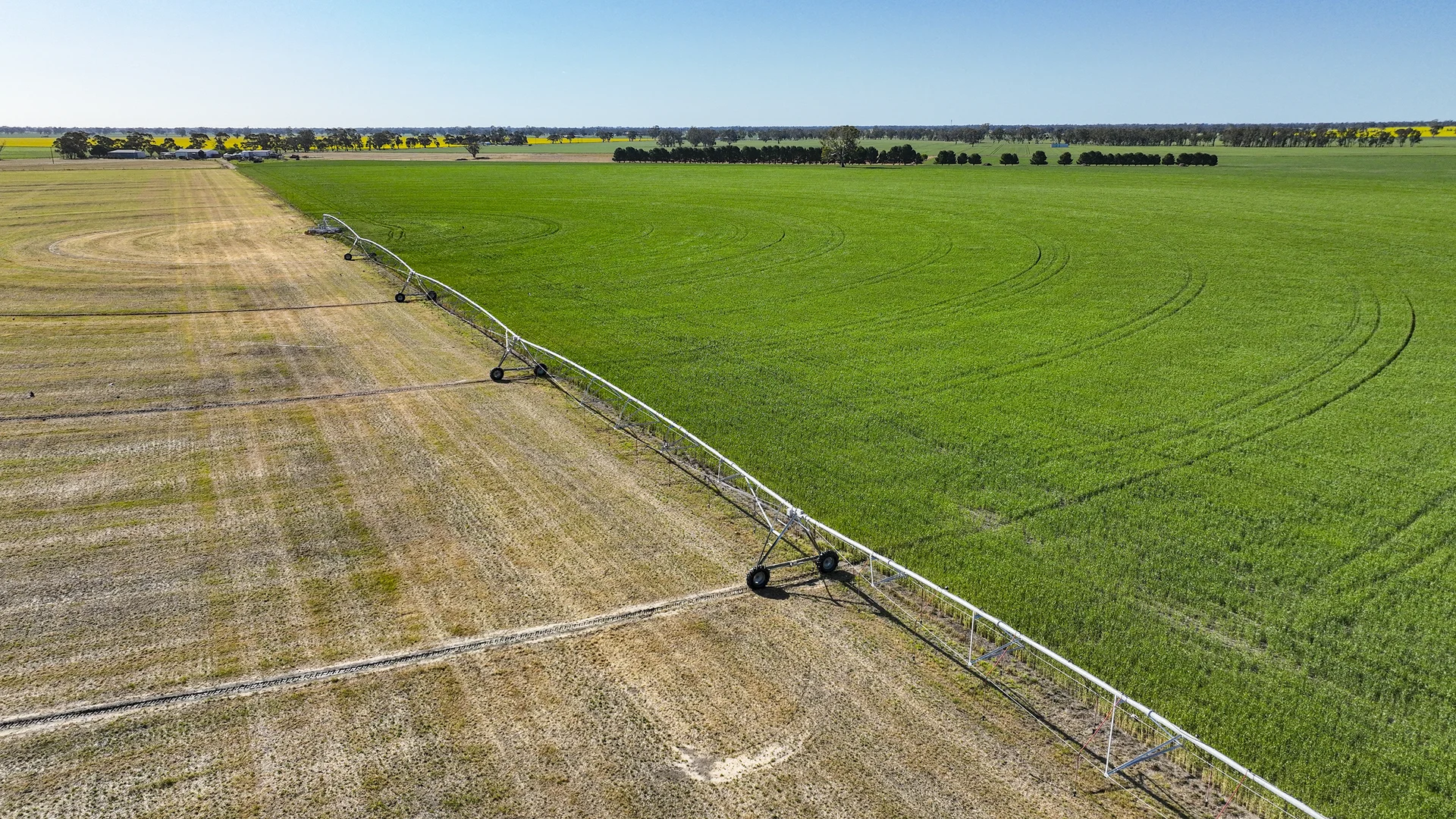 Additional image 21 of 139 Packer Road, Bordertown South SA 5268