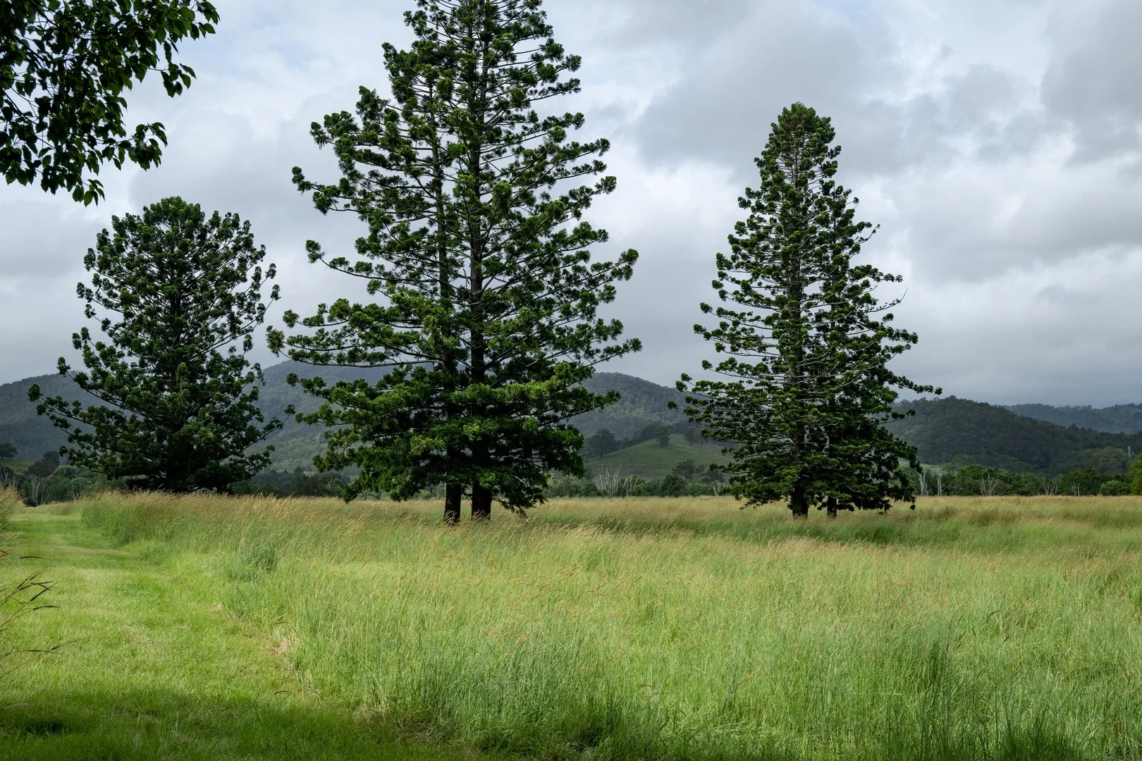 43 Cutmore Road, Obi Obi QLD 4574