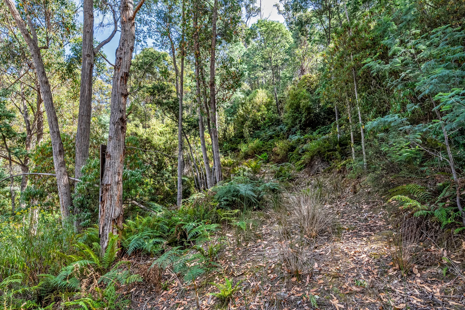 Additional image 30 of 1 Douglas Road, Molesworth TAS 7140