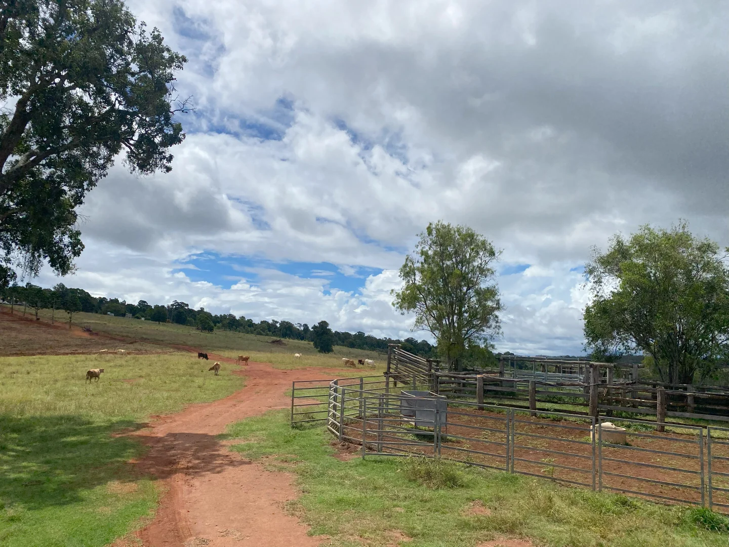 Additional image 11 of 'Sunrise' Mclaughlans Road, Monto QLD 4630