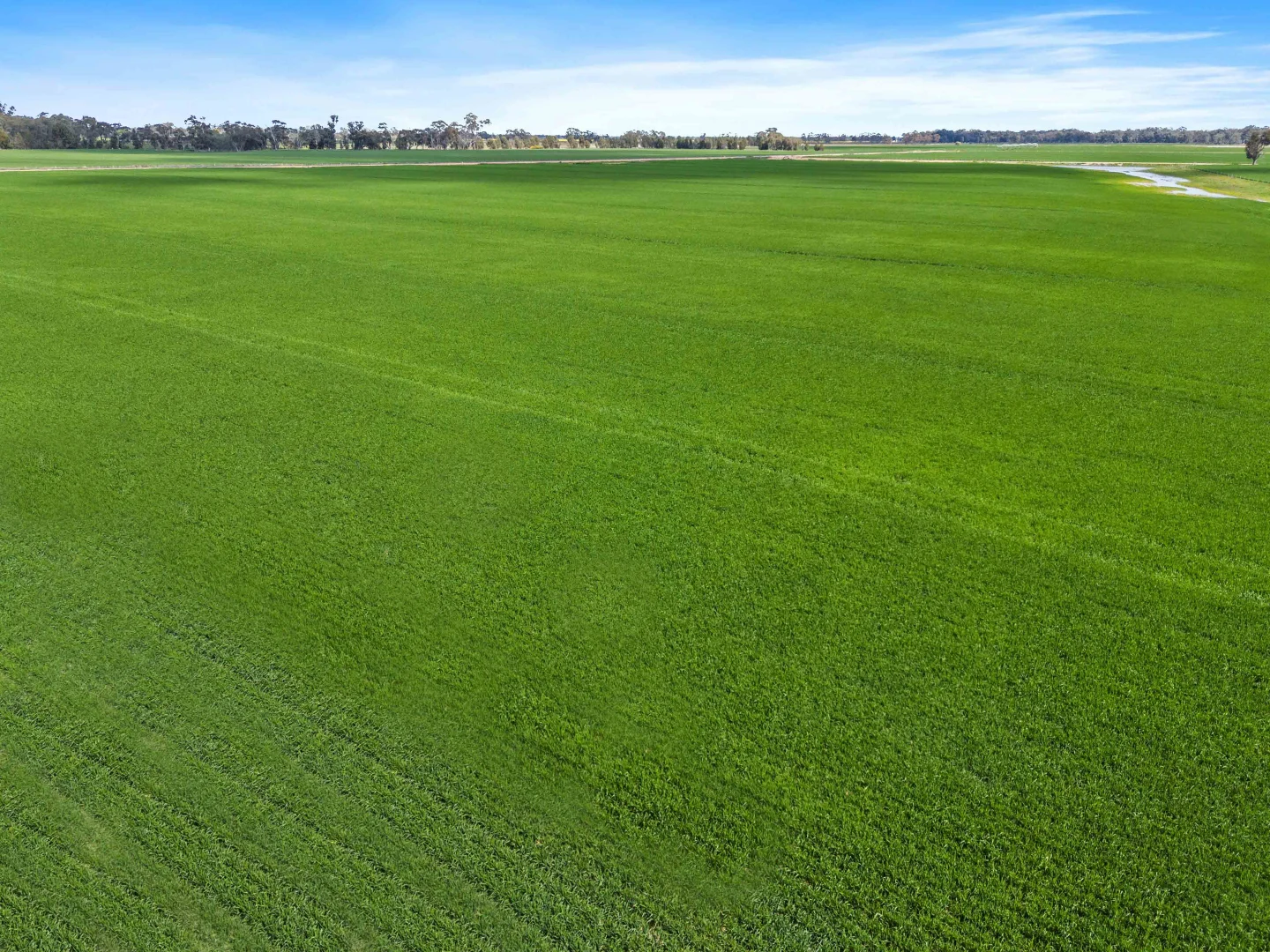 Additional image 11 of Pinewood, 870 Walshs Bridge Road, Kaarimba VIC 3635