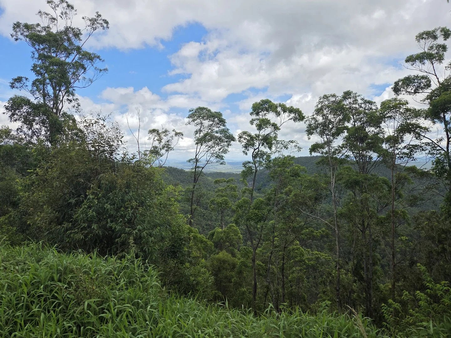 Additional image 6 of 1610 Tamborine Oxenford Road, Wongawallan QLD 4210