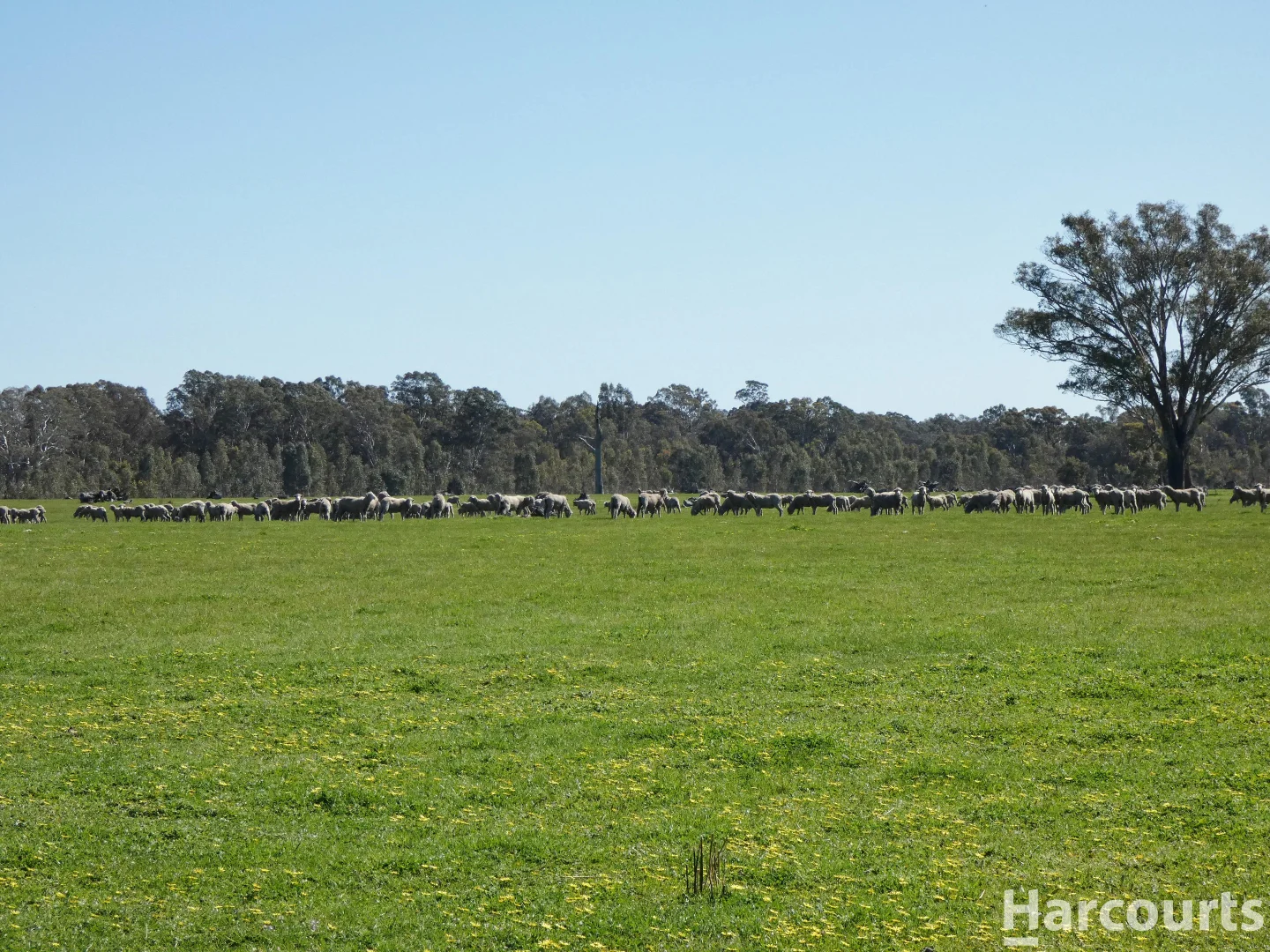 Additional image 29 of . Red Rock Road, Glenisla VIC 3314