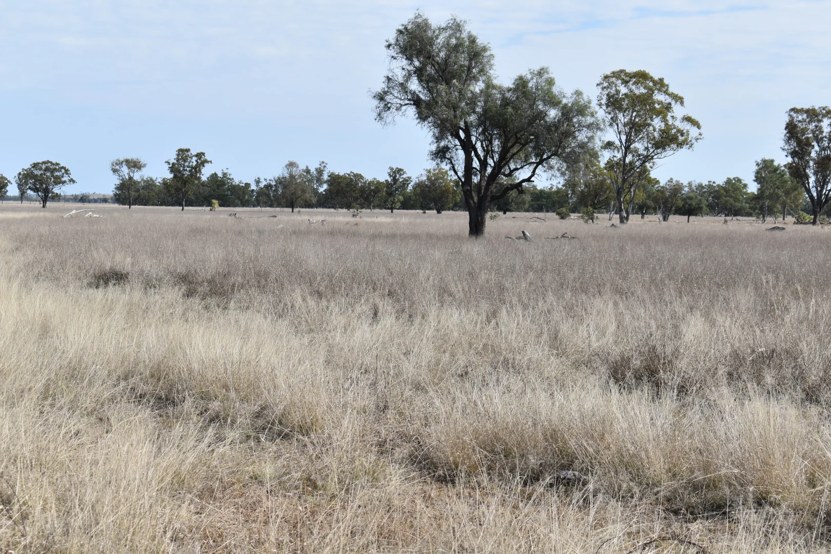 Additional image 7 of "Savannah" 438 Megine Road, Roma QLD 4455