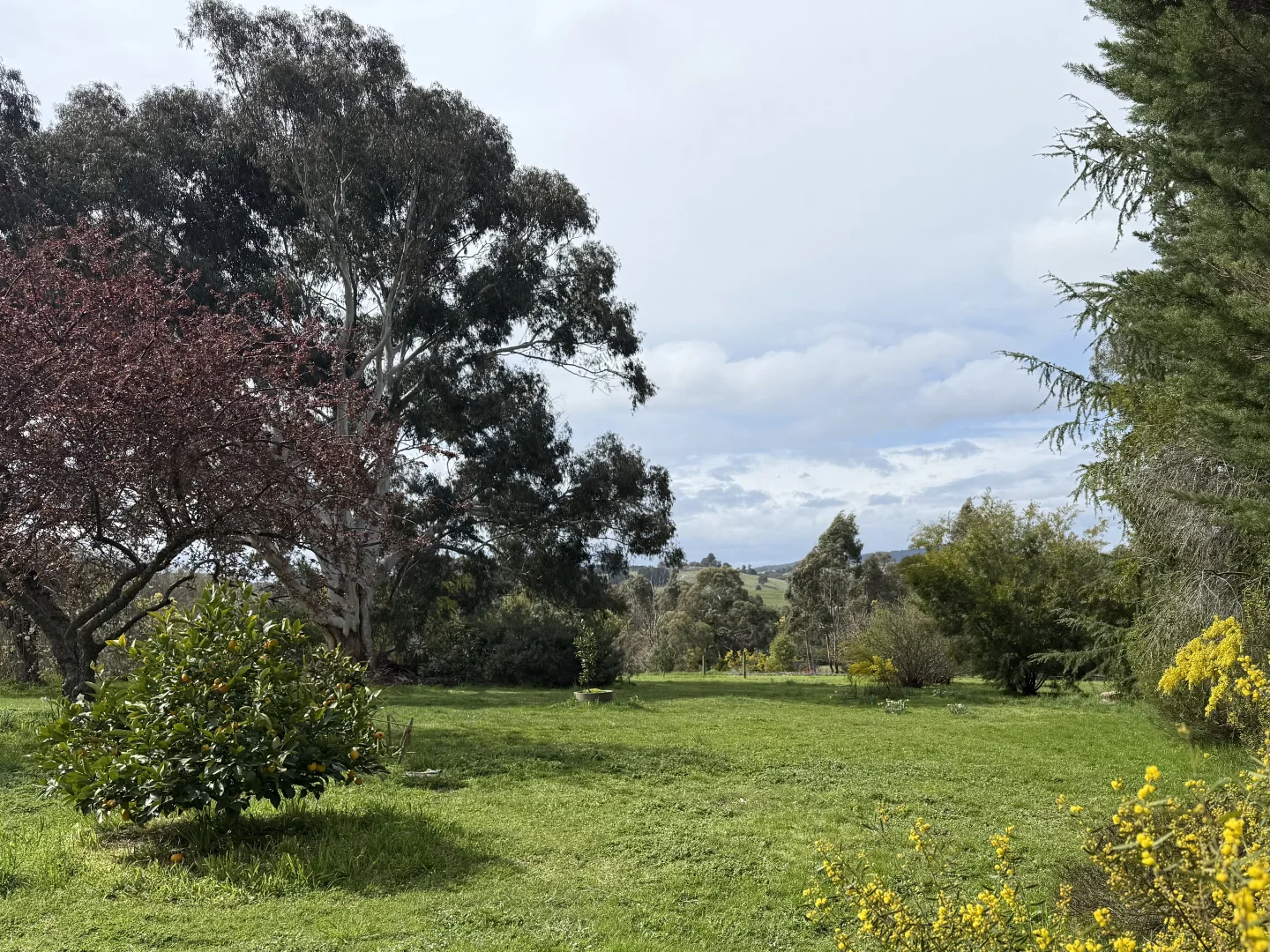 Additional image 9 of 2122 Euroa-Strathbogie Road, Strathbogie VIC 3666