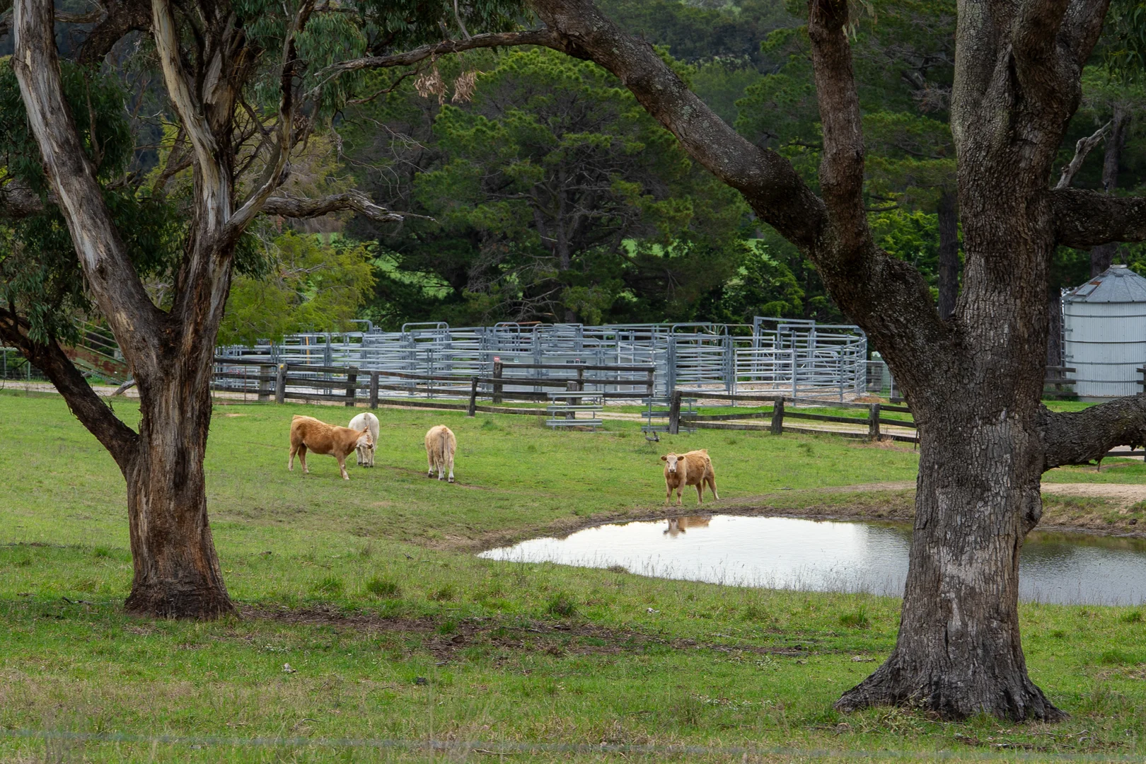 Additional image 4 of 1712 Hazelgrove Road, Tarana NSW 2787