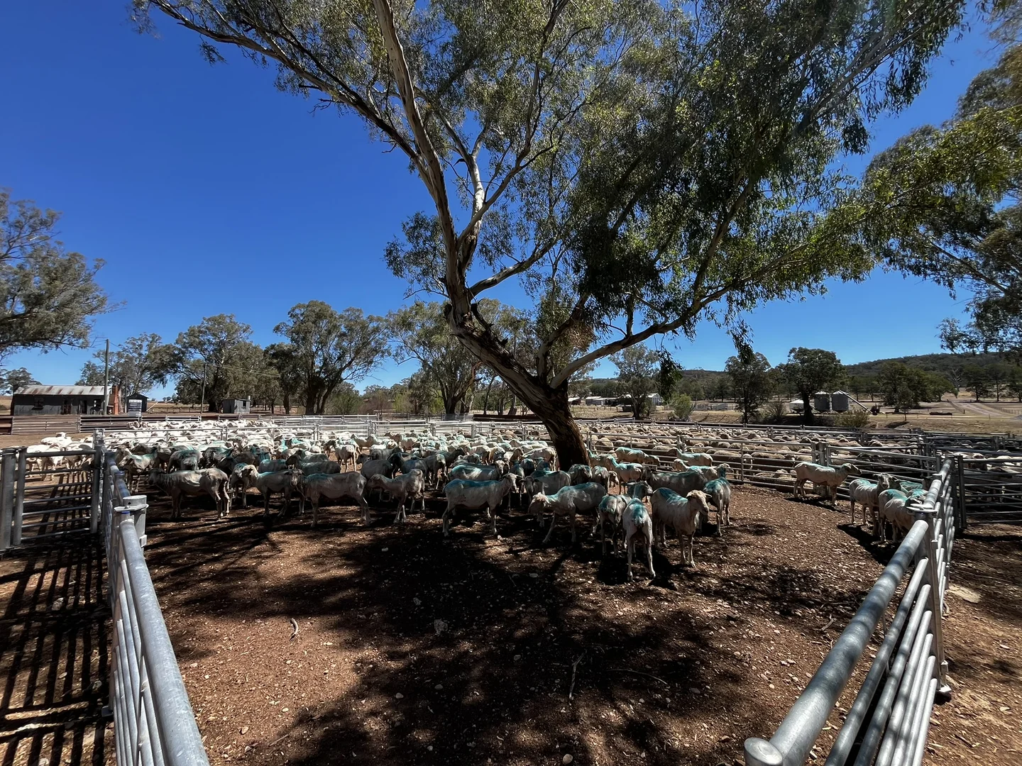 Additional image 22 of Address Via Request Road, Grenfell NSW 2810