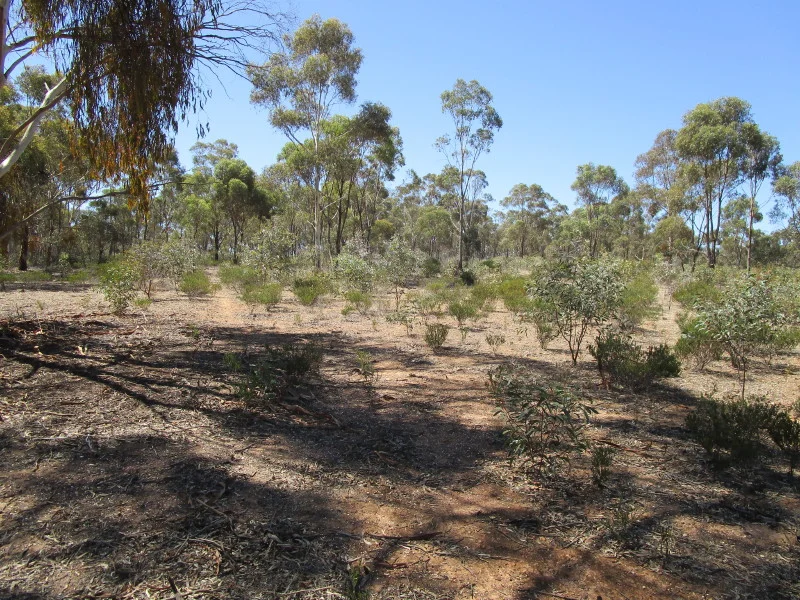 Additional image 9 of 37 Kay Road, St Arnaud VIC 3478