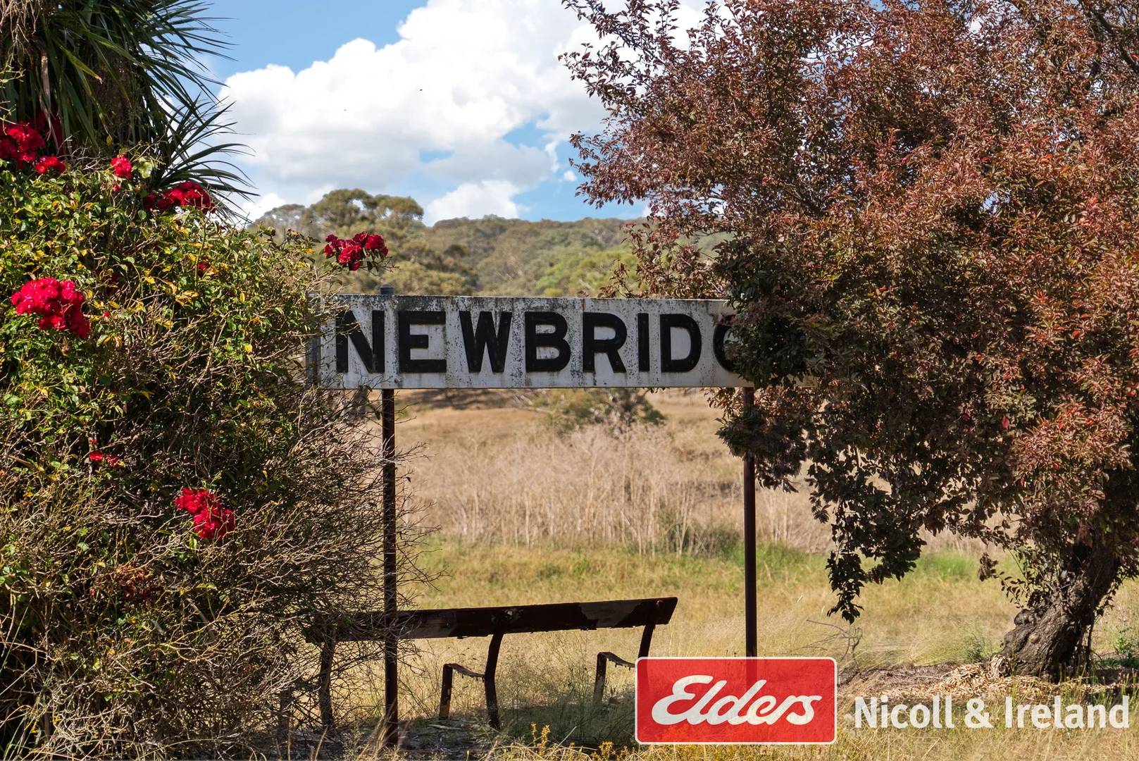 Additional image 11 of 18 Campbell Street, Newbridge NSW 2795