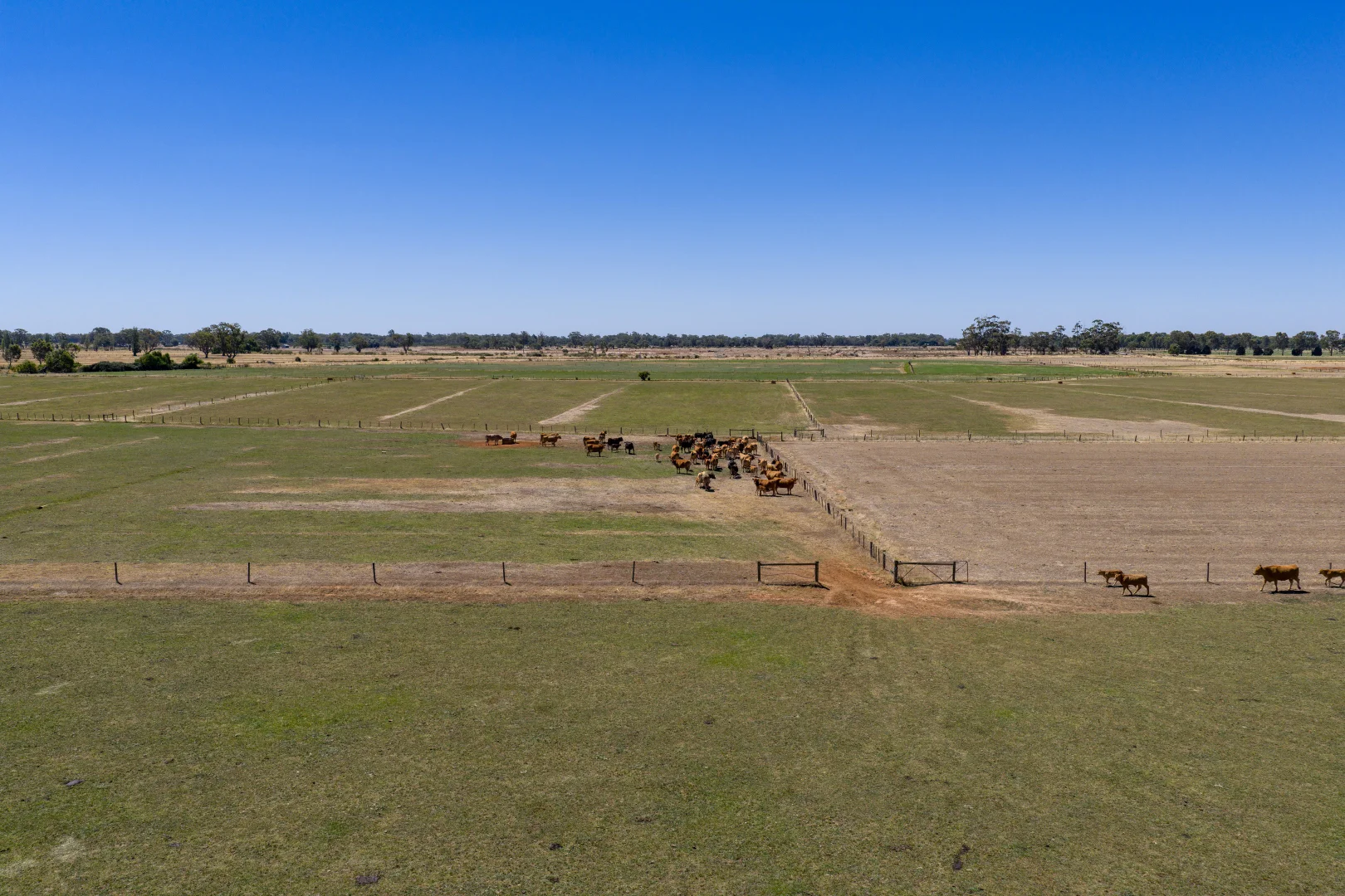 Additional image 12 of 2930 McEwen Road, Stanhope VIC 3623