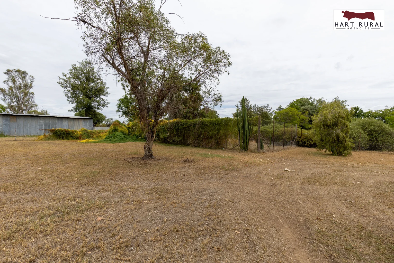 Additional image 15 of 7 Railway Parade, Gravesend NSW 2401