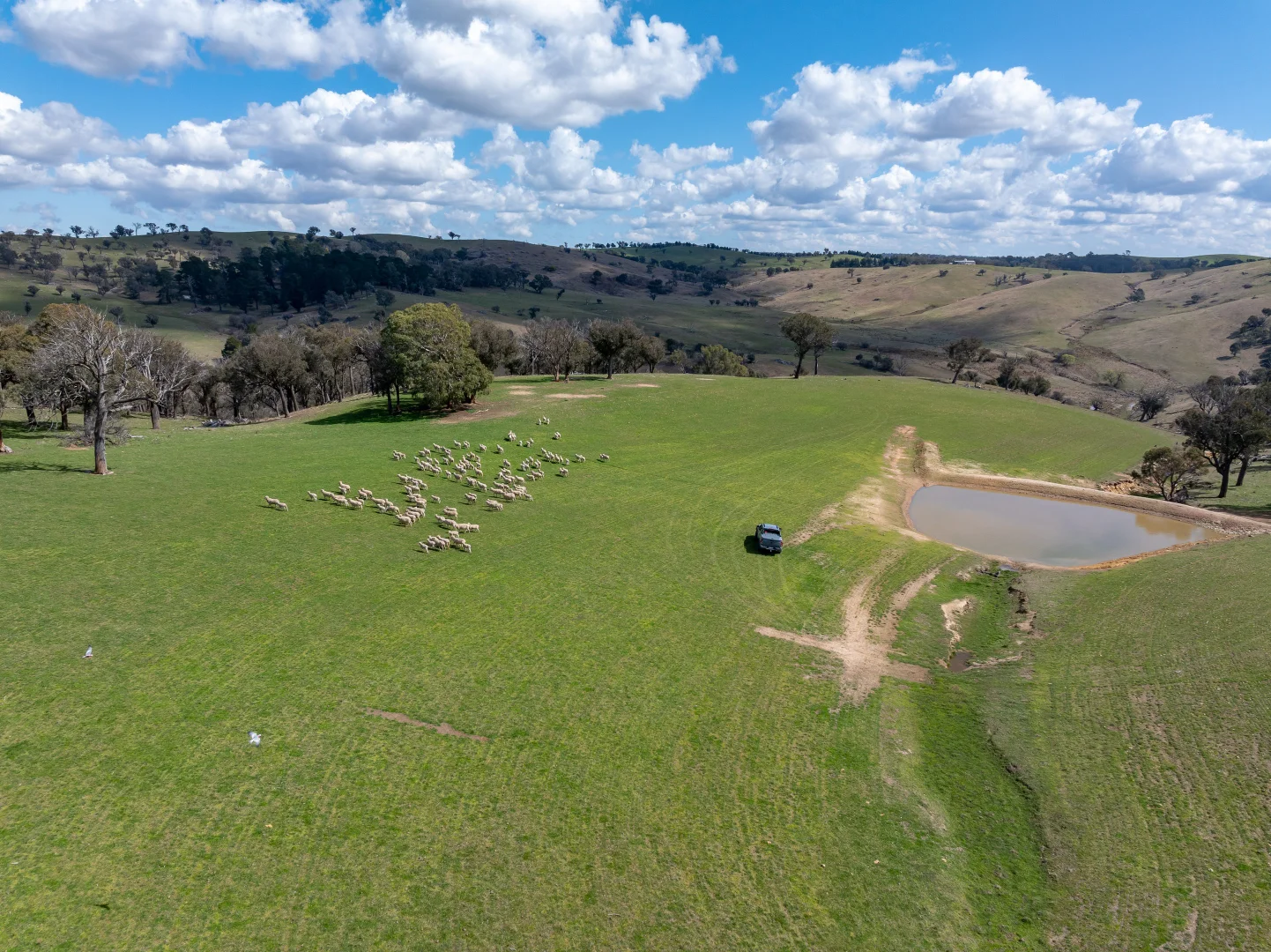 Additional image 6 of 1185 Golspie Road, Golspie NSW 2580