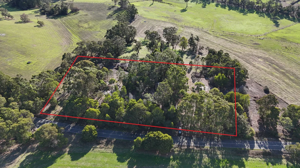 2390 Colac -Lavers Hill Road, Gellibrand VIC 3239