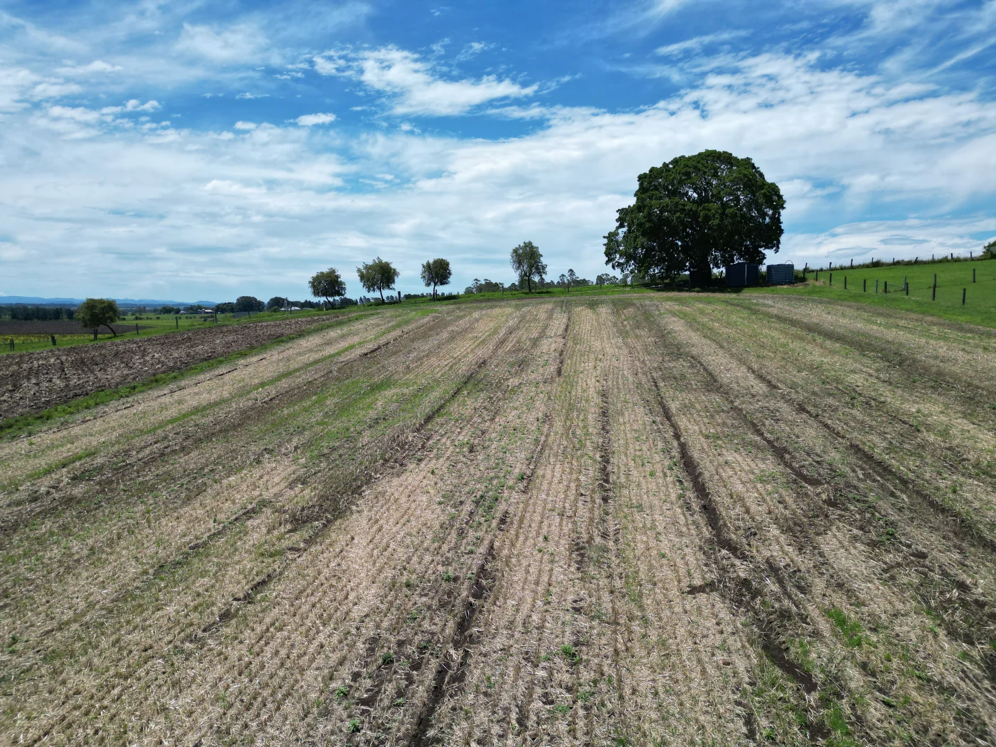 Additional image 9 of 80 Strongs Road, Fairy Hill NSW 2470