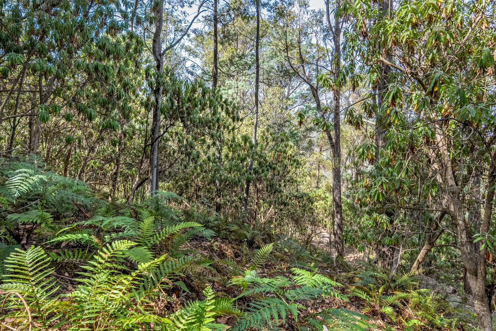 Additional image 35 of 1 Douglas Road, Molesworth TAS 7140