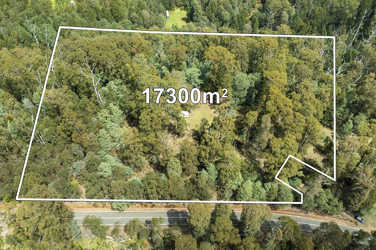 Additional image 6 of 42 Woods Point Road, Marysville VIC 3779
