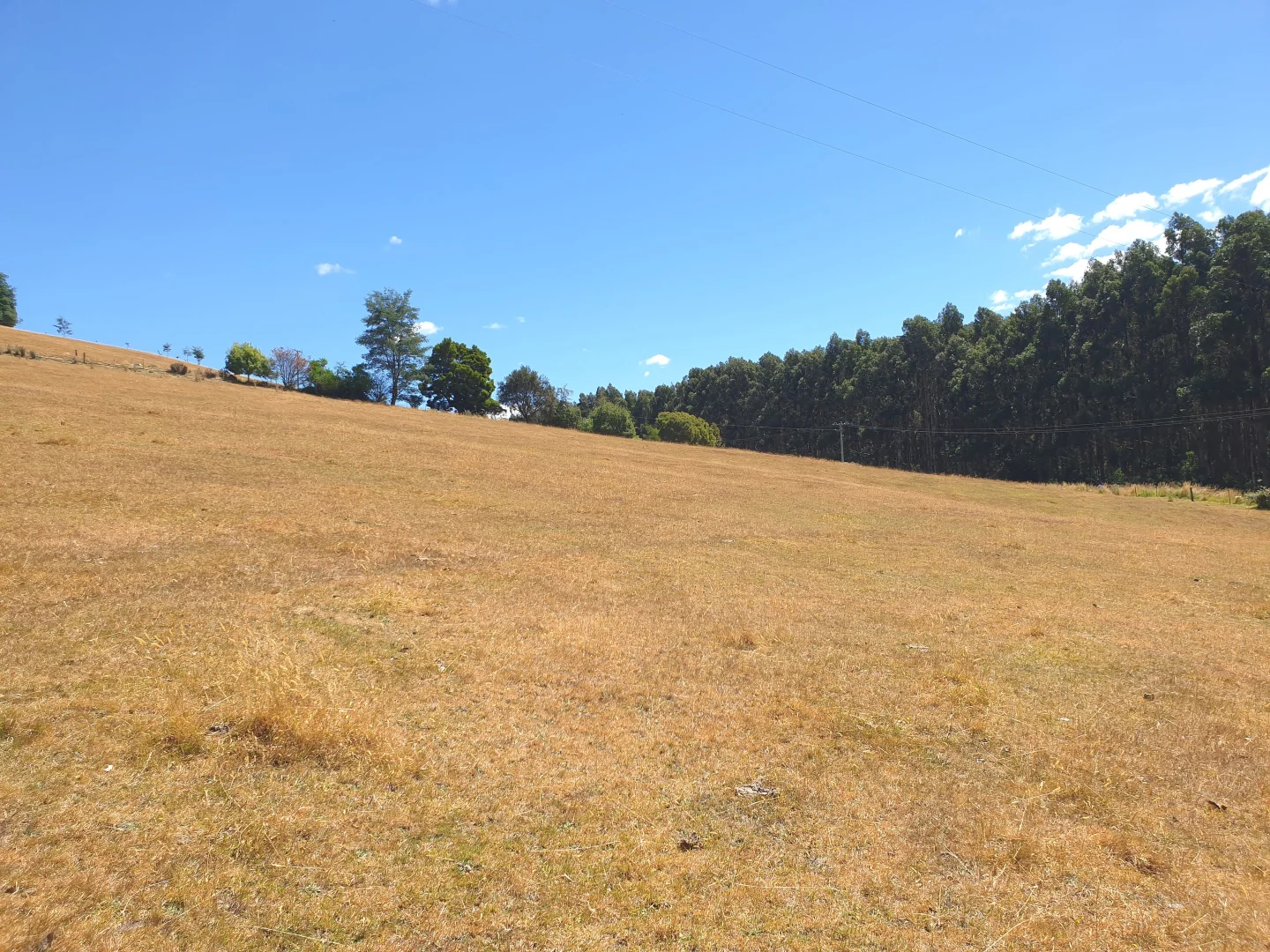 Additional image 7 of Lot 2 Arve Road, Geeveston TAS 7116