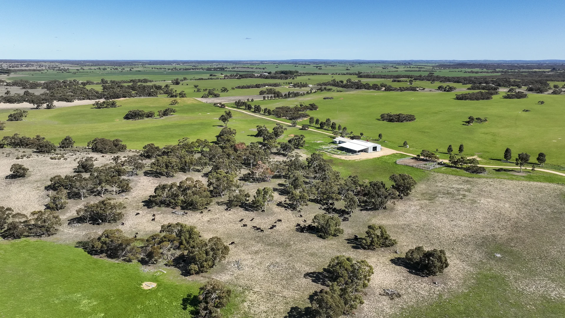 Additional image 40 of 381 & 907 Pascoe Road, Coonalpyn SA 5265